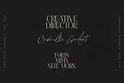 Anna Glave - Serif & Script Font Duo, a Serif Font by VP Fonts (Thumbnail 21 of 28)