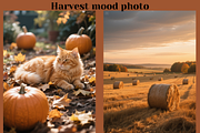 47 Harvest Season Stock Photo Bundle, a Beauty & Fashion Photo by MarkoPresets (Thumbnail 4 of 6)