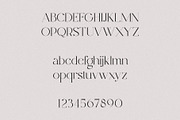 Marigold - Modern Serif, a Serif Font by Mikhail Kitsune (Thumbnail 8 of 9)