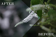 GREENMOOD Inspired Lightroom Preset, an Action Add-On by J.Hermawan Photography (Thumbnail 2 of 3)