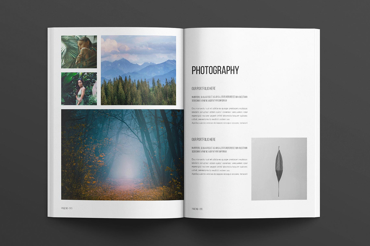 Portfolio Design Template, a Brochure Template by E-Type (Photo 6 of 7)
