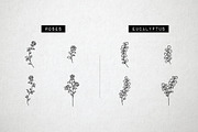 60 Flower and Floral Icons - Vol 2, an Outline Icon by Hatch Design Workshop (Thumbnail 3 of 10)