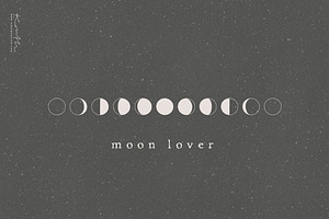 MOON PHASES / Vector Illustration