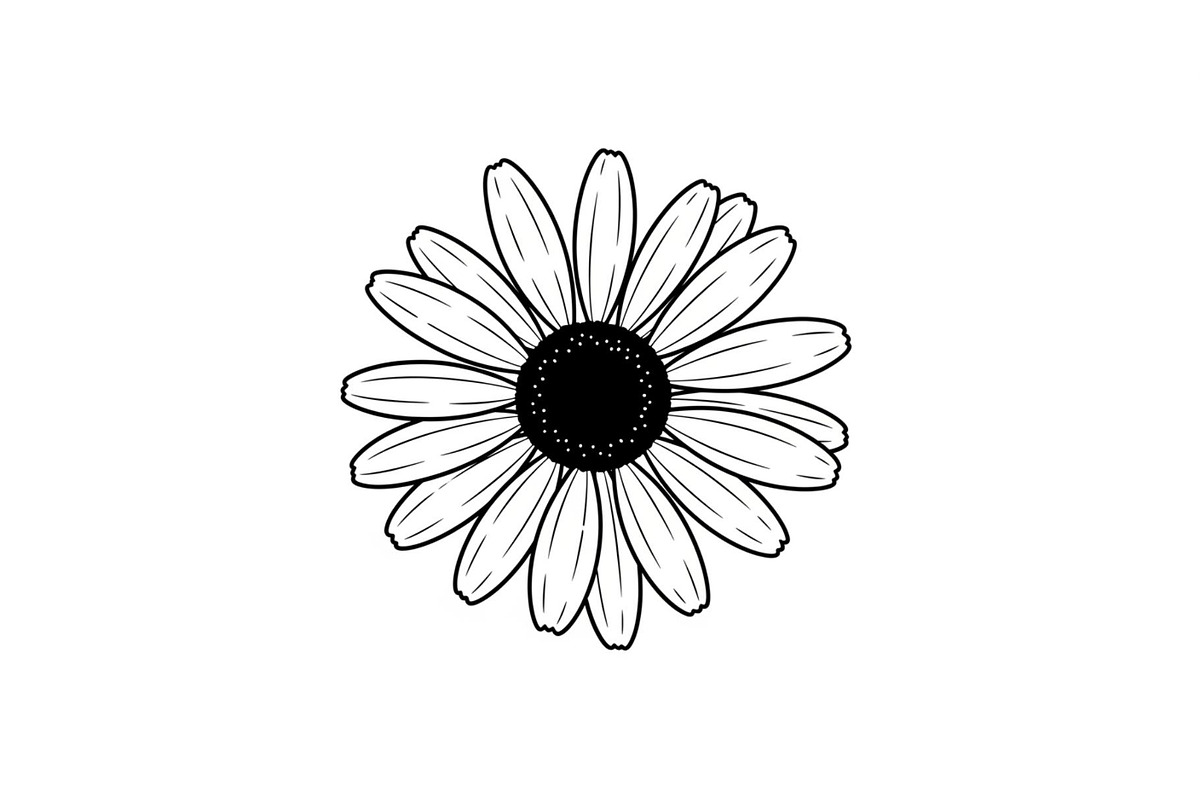 Daisy Flower Line Art Vector Bundle0, an Illustration by jahid234 (Photo 51 of 51)