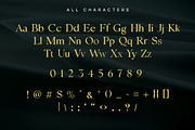 Narko – Elegant Serif Typeface, a Serif Font by Brand Earth (Thumbnail 2 of 5)