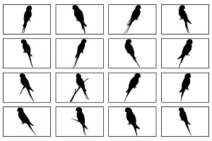 Budgerigar Silhouette Vector set, an Animal Illustration by Unique Design Team