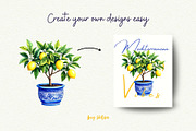 Mediterranean Lemon Clipart, an Object Graphic by Anna Design Studio (Thumbnail 6 of 9)