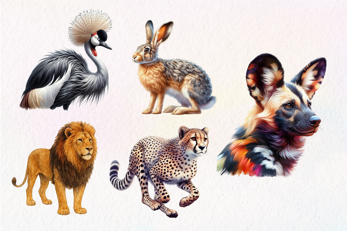 Wild Animals of Africa PNG, an Illustration by Dream Creation (Photo 7 of 7)
