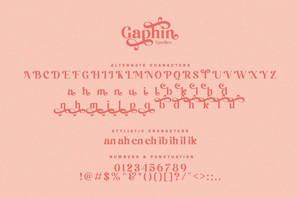 Author - Modern Serif Font, a Serif Font by Luna Shop (Photo 6 of 11)