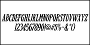 Newspaper Publisher JNL, a Serif Font by Jeff Levine Fonts (Thumbnail 5 of 5)