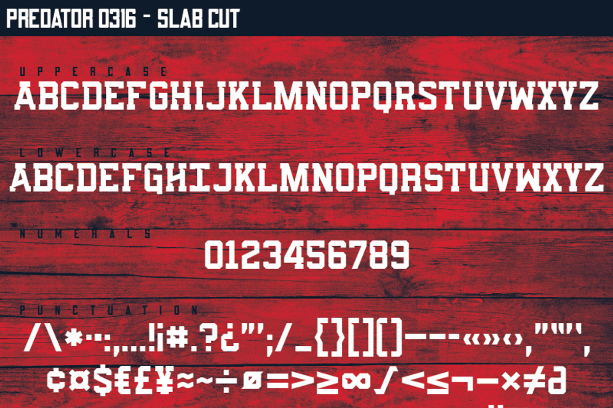 Predator 0316 - Full Family, a Sans Serif Font by Eargle Design, LLC (Photo 12 of 20)