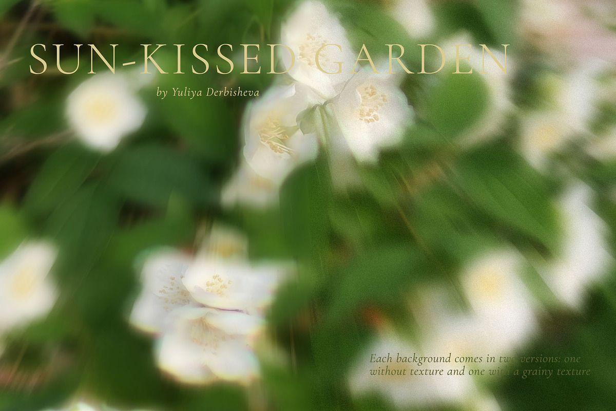 Blurry Flowers Abstract Backgrounds, a Background Graphic by Yuliya Derbisheva (Photo 8 of 15)