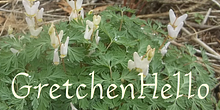 GretchenHello