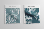 Aquatic Natural History Collection, an Object Graphic by Blixa 6 Studios (Thumbnail 16 of 24)