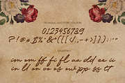Jackoe - Modern Handwritten Script, a Script Font by Olexstudio (Thumbnail 8 of 8)