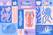 Ocean Life | Graphic Collection, an Animal Illustration by katieromanoff_art (Thumbnail 2 of 11)