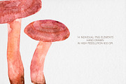 Watercolor Mushrooms Clipart, an Illustration by MilanaDesignShop (Thumbnail 4 of 4)