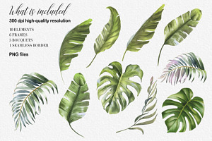 Tropical Leaves Clipart. Watercolor