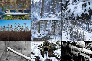 Winter Photo Bundle