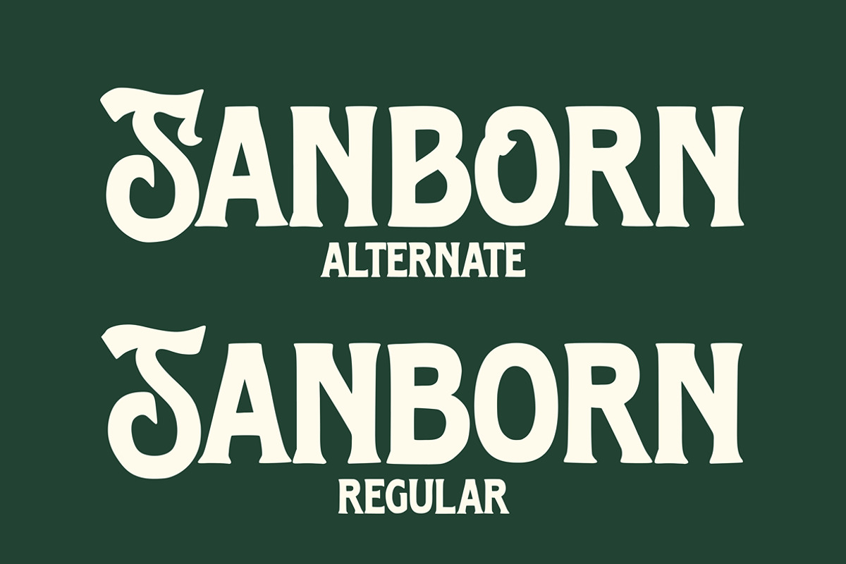 Carver Supply - Vintage Font, a Slab Serif Font by Arendxstudio (Photo 9 of 9)