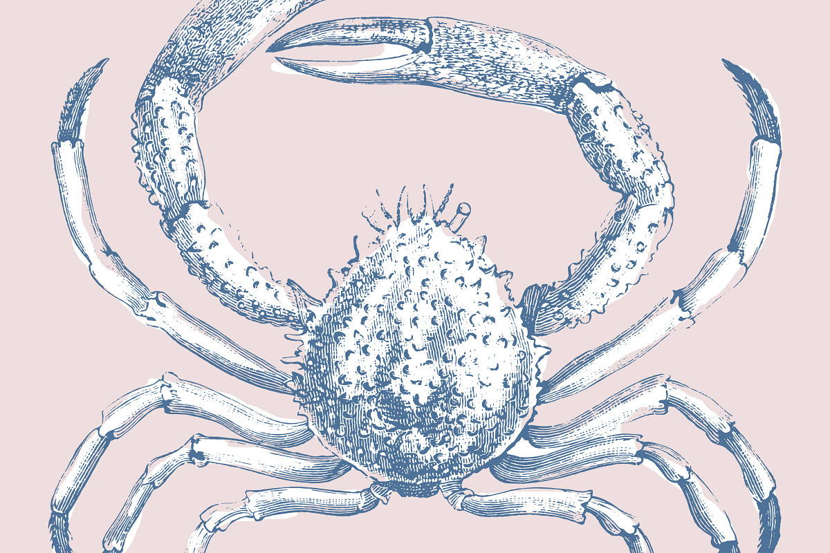 88 Vintage Nautical Illustrations, an Illustration by Century Library (Photo 6 of 6)