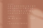 Frestin Elegant Serif Font, a Serif Font by Graphicxell (Thumbnail 7 of 8)