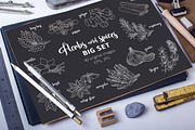 40 spices and herbs on dark, a Food Illustration by Primula`s shop (Thumbnail 1 of 2)