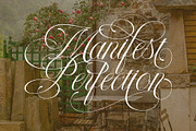 LT Nouvelle Jardin – Romantic Script, a Script Font by Luminotype (Thumbnail 3 of 10)