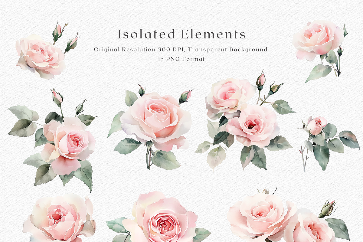 Rose Riviere - Watercolor Floral, a Decorative Illustration by ThaismotaCreativeCo (Photo 7 of 9)