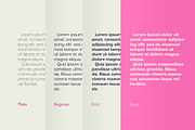 Parkin Sans With 9 Weight, a Sans Serif Font by Letterhend Studio (Thumbnail 7 of 10)