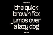 TAN-MALONE, a Sans Serif Font by TanType (Thumbnail 11 of 11)