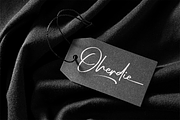 The Diary // Stylish Script Typeface, a Script Font by GDcreative (Thumbnail 5 of 9)