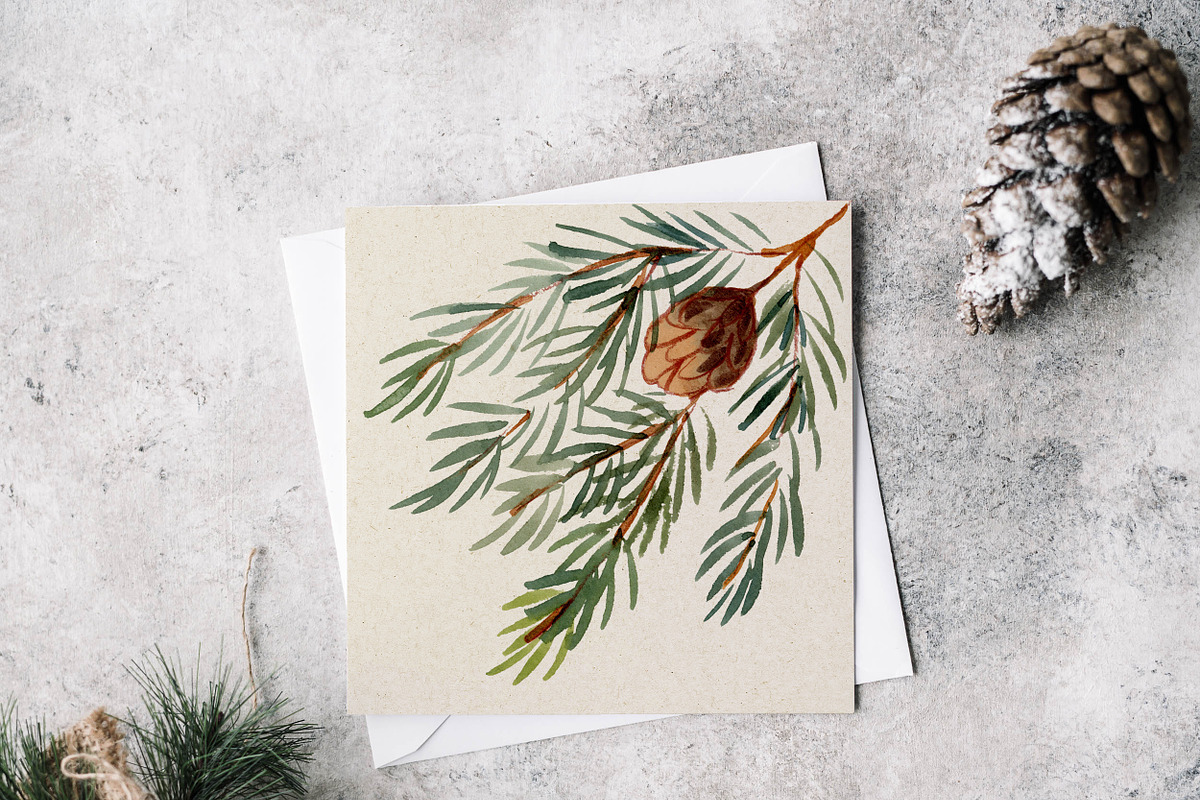Pine Cones, hand painted clipart, a Seasonal Illustration by swiejko (Photo 3 of 5)