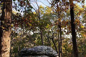 Autumn forest and rock outcrop at Garden of the Gods in Colorado Springs, Color, a Nature Photo by AS photostudio