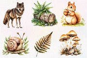 Vintage Woodland Watercolor Clipart, an Illustration by Dream Creation (Thumbnail 6 of 7)