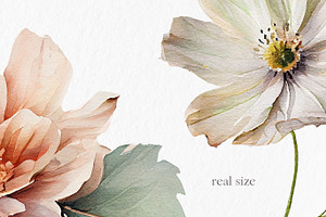 Neutral Flower Watercolor Clipart