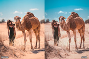Sahara Desert Lightroom Presets, a Preset Add-On by AAA Presets (Thumbnail 4 of 21)