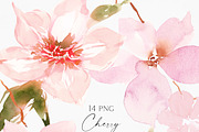 Watercolor Cherry Blossom, an Illustration by Olga Koelsch (Thumbnail 8 of 9)