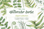 Watercolor herbs. Clipart collection, an Illustration by Anastasia Koba (Thumbnail 1 of 9)