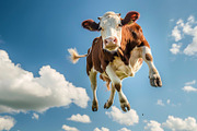 116 Flying animals, an Animal Photo by Handmadefont (Thumbnail 46 of 119)