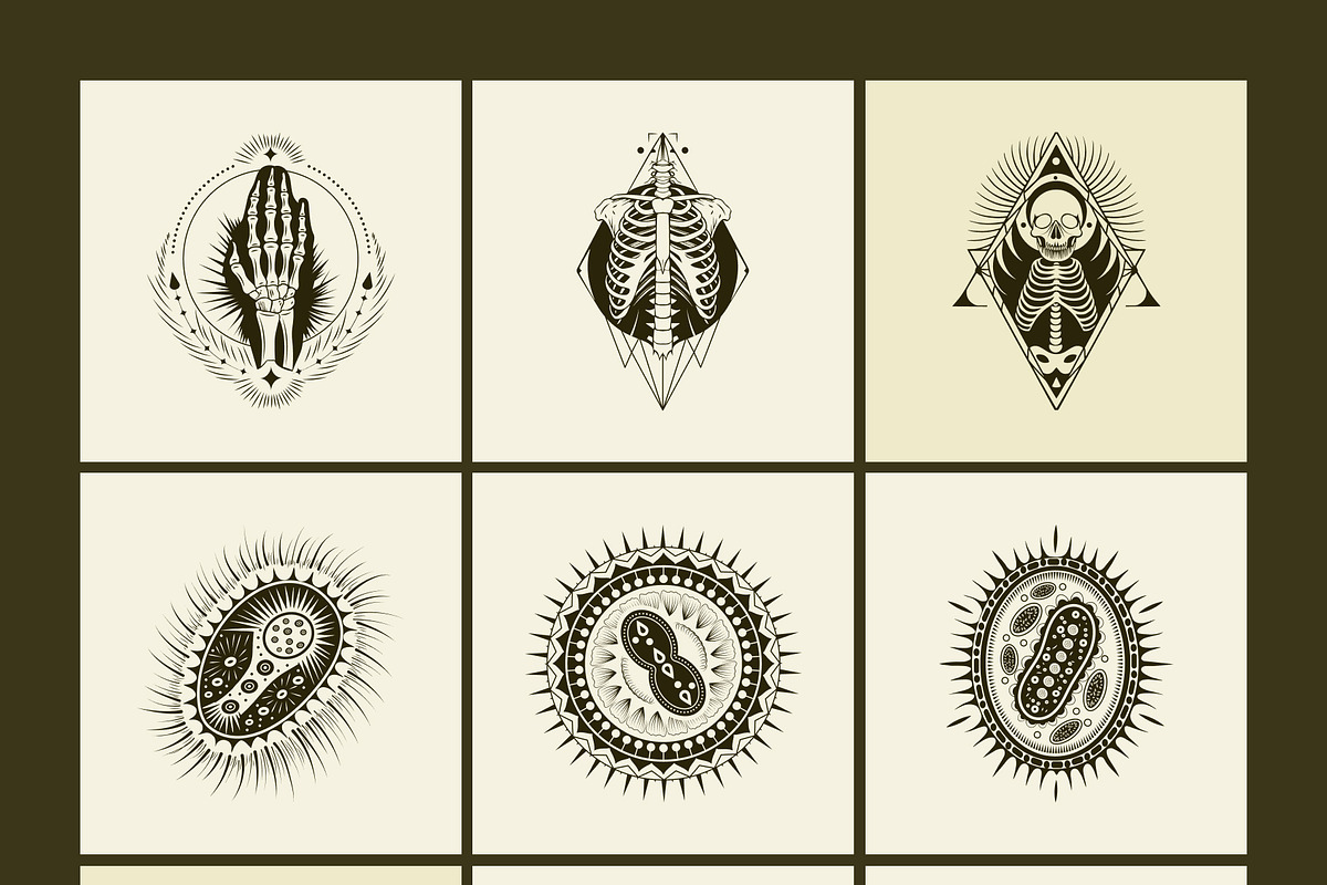 100 Anatomical Illustrations Set, an Education Illustration by Prosymbols (Photo 9 of 11)