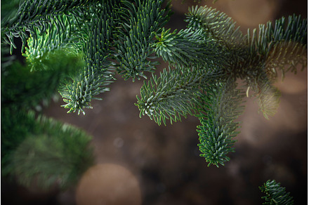 Christmas and New Year background, a Holiday Photo by Yulia Furman