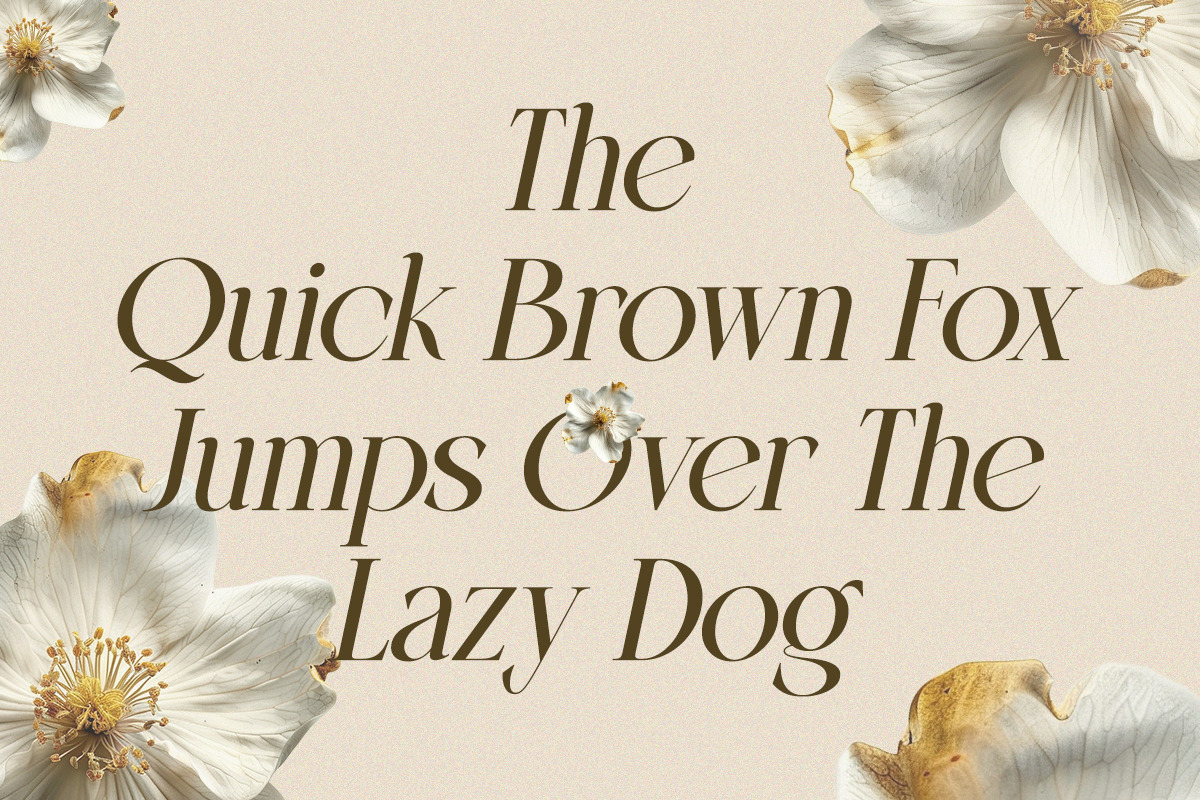 Rock Selavie - Modern Elegant Luxury, a Serif Font by Qweera Studio (Photo 6 of 12)