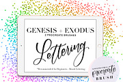Lettering Procreate Brushes, a Brush Add-On by lovetistrue (Thumbnail 1 of 4)