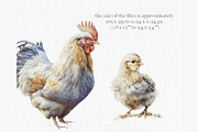 Village chickens Watercolor Clipart, an Object Graphic by MyLittleMeow (Thumbnail 2 of 7)