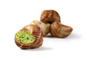 Close-up of stuffed escargot with parsley garlic butter on white, a Food & Drink Photo by Ales Munt