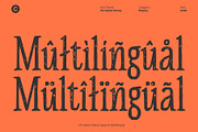 CS Alpine Stamp, a Serif Font by Craft Supply Co. (Thumbnail 7 of 8)