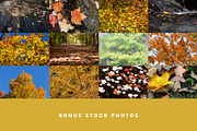 Autumn Leaf Silhouettes + Bonus, an Object Graphic by Build Interactive (Thumbnail 4 of 4)