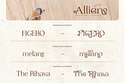 Allieno, a Serif Font by kerismaker (Thumbnail 10 of 12)