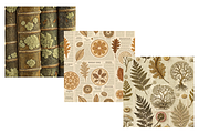 Lichen Library Digital Paper, a Pattern Graphic by FloridPrintables (Thumbnail 5 of 6)